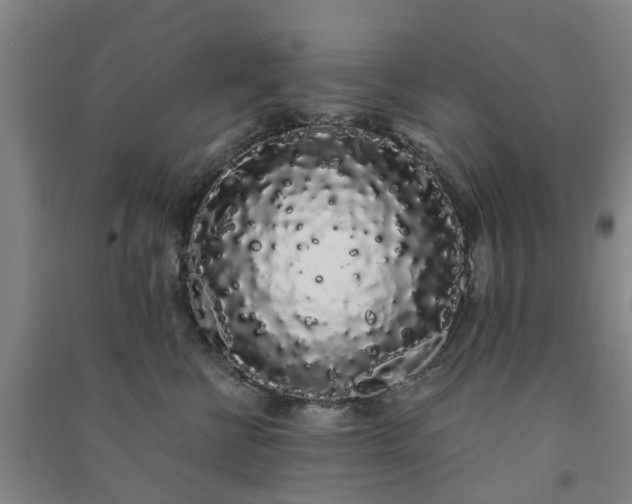 X0000091240570200708161738