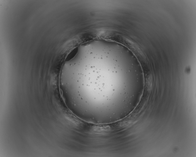 X0000091240571200708161738