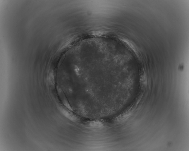 X0000091240572200708161738