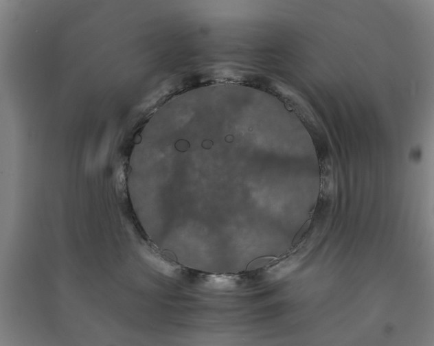 X0000091240573200708161738
