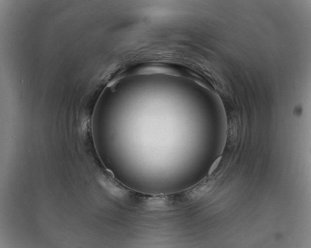 X0000091240574200708161738
