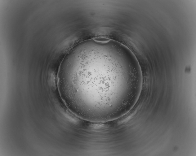 X0000091240575200708161738