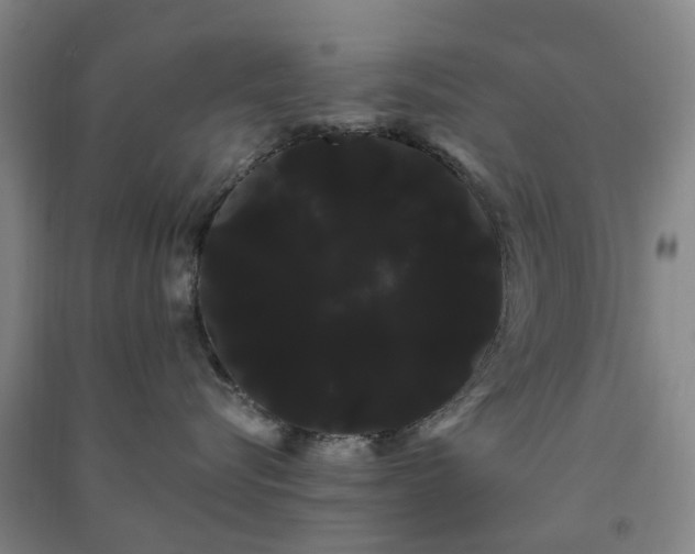 X0000091240576200708161738