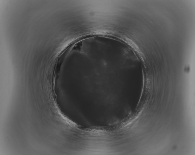 X0000091240577200708161738