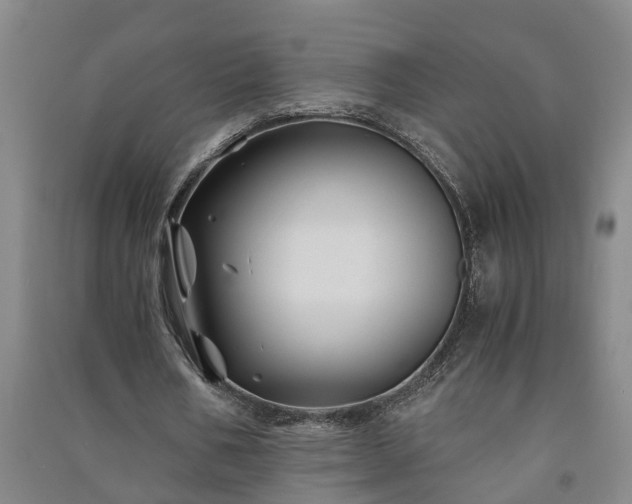 X0000091240578200708161738