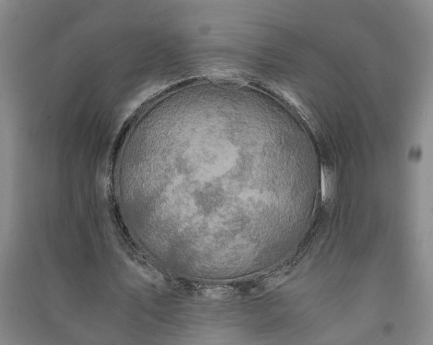 X0000091240579200708161738