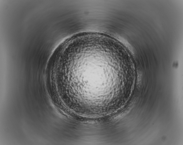 X0000091240580200708161738