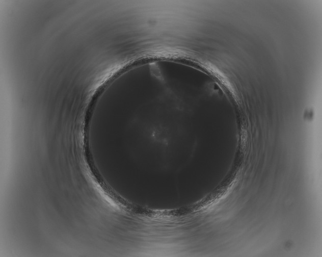 X0000091240581200708161738