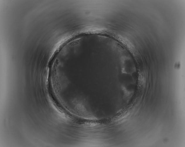 X0000091240582200708161738