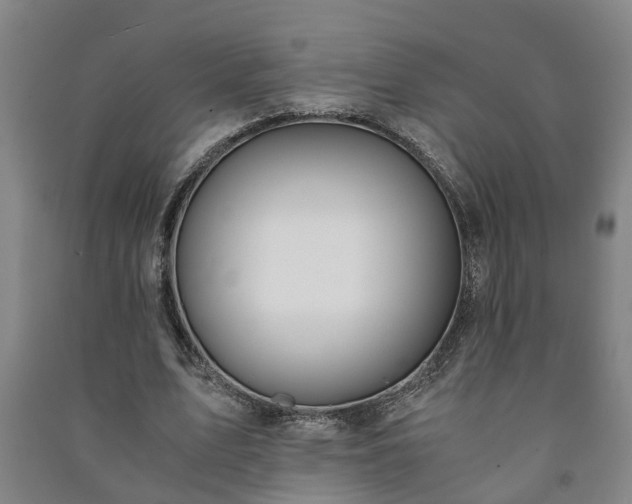 X0000091240583200708161738