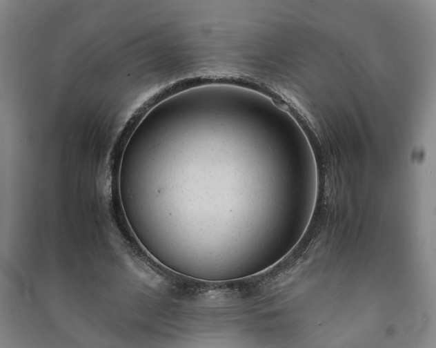 X0000091240584200708161738