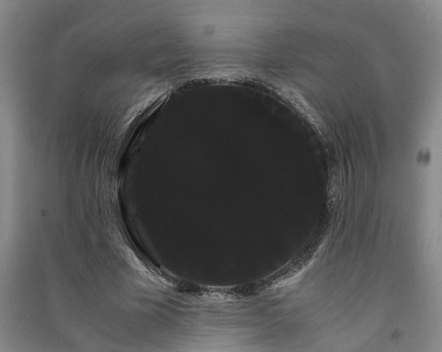 X0000091240585200708161737