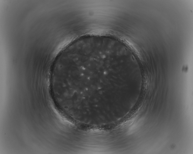 X0000091240586200708161737