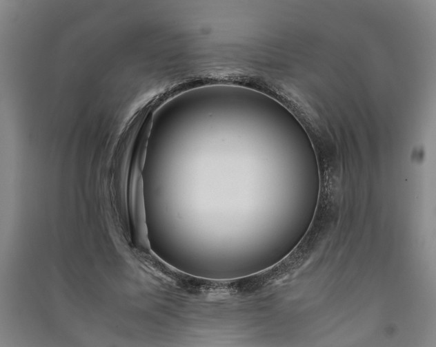 X0000091240587200708161737