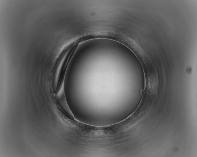 X0000091240588200708161737