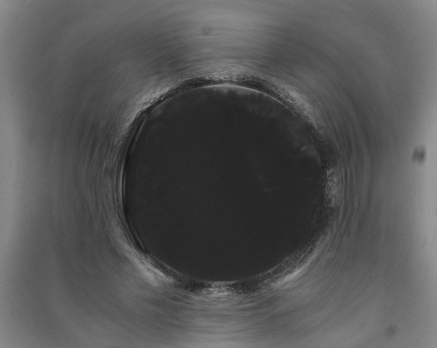 X0000091240589200708161737
