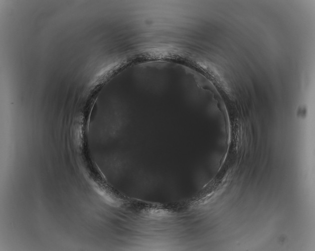 X0000091240590200708161737