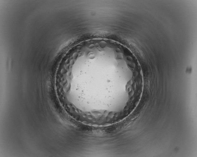 X0000091240591200708161737