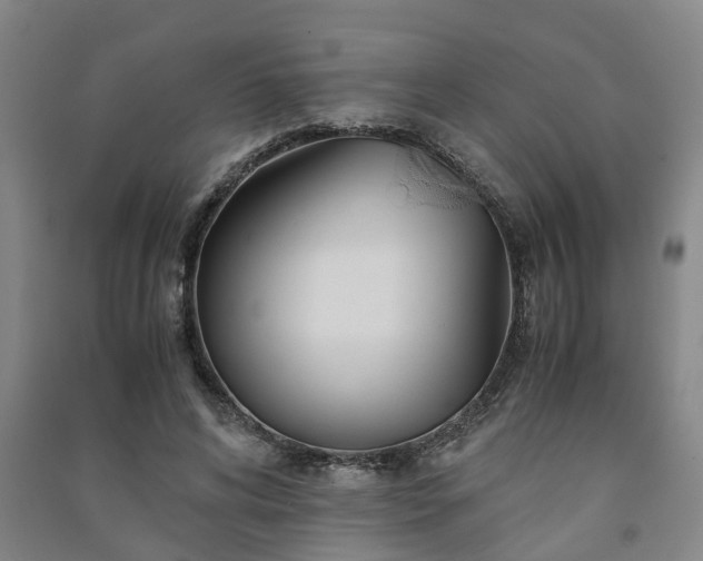 X0000091240592200708161737