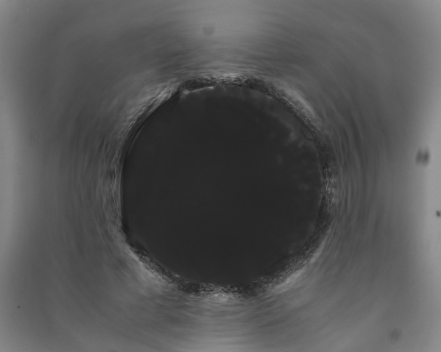X0000091240593200708161737