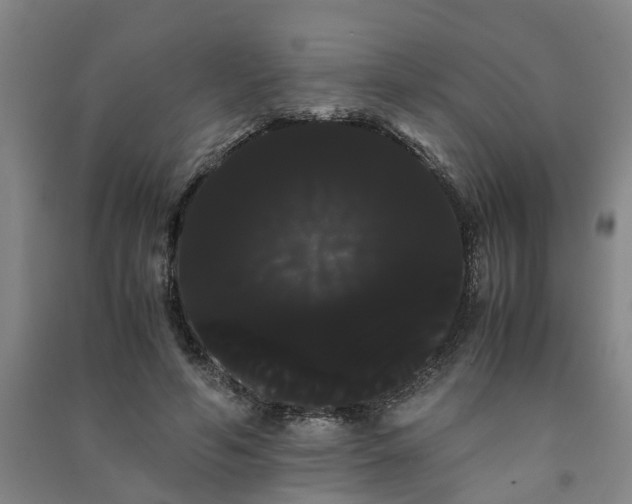 X0000091240594200708161737
