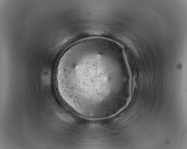 X0000091240596200708161737