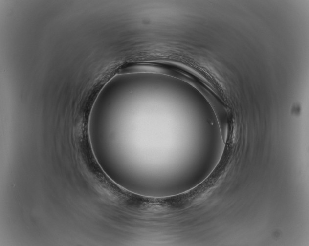 X0000091240597200708161737