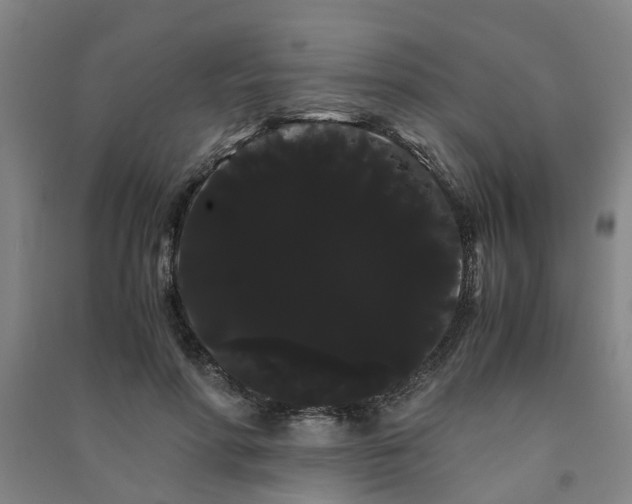X0000091240598200708161737