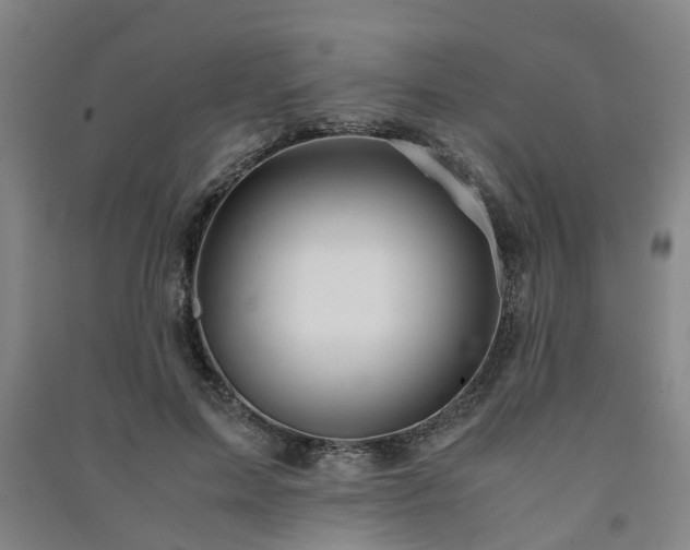 X0000091240599200708161737