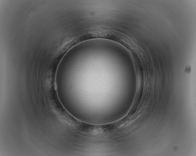 X0000091240600200708161737