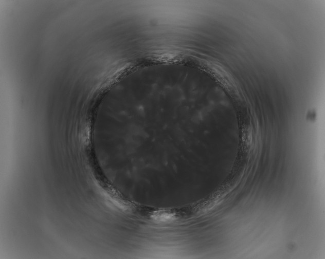 X0000091240602200708161737