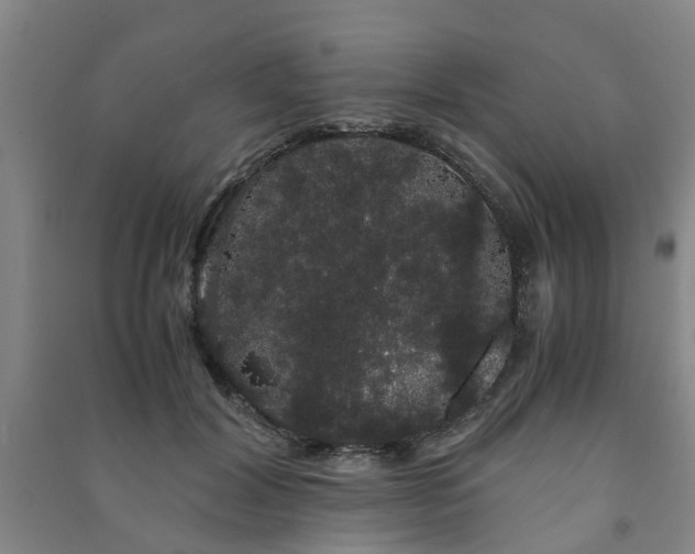 X0000091240604200708161737