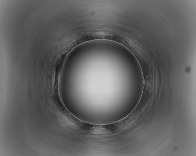 X0000091240605200708161737