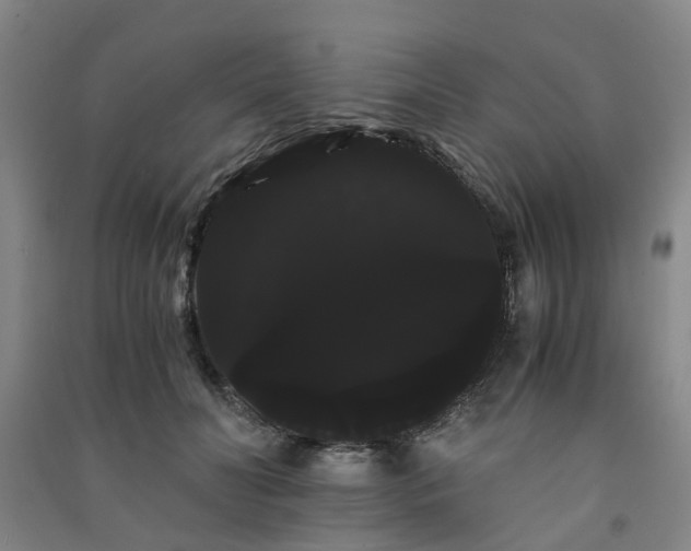 X0000091240606200708161737