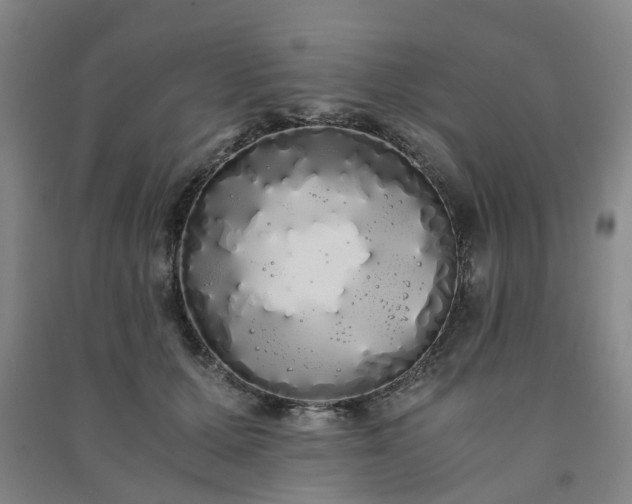 X0000091240607200708161737