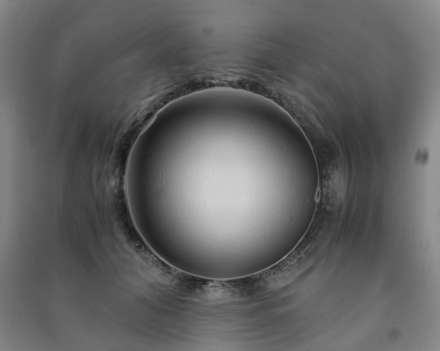 X0000091240608200708161737