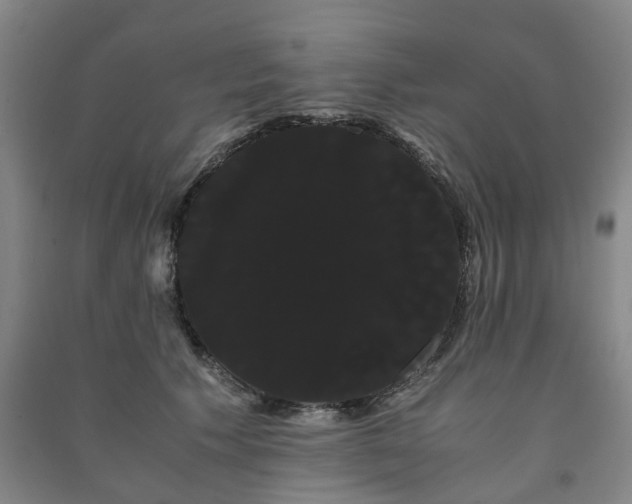 X0000091240609200708161737