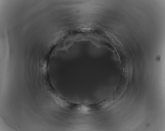 X0000091240610200708161737