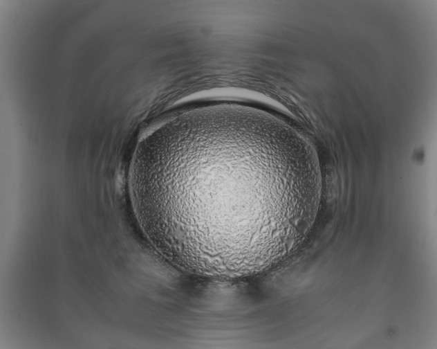 X0000091240613200708161737