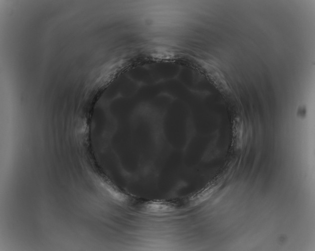 X0000091240614200708161737