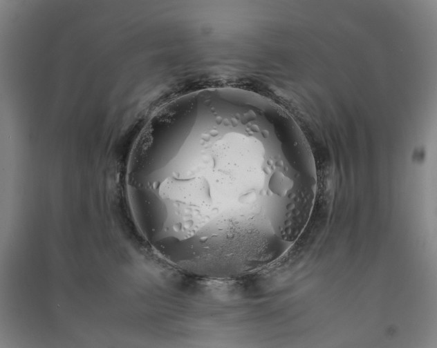 X0000091240615200708161737