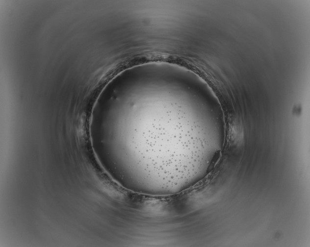 X0000091240616200708161737