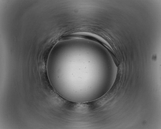X0000091240617200708161737