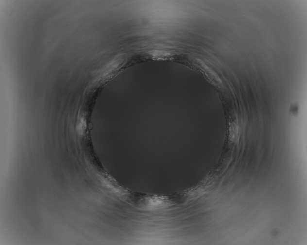 X0000091240618200708161737