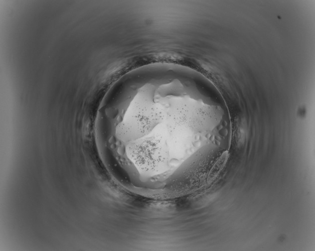 X0000091240619200708161737