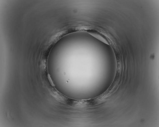 X0000091240621200708161737