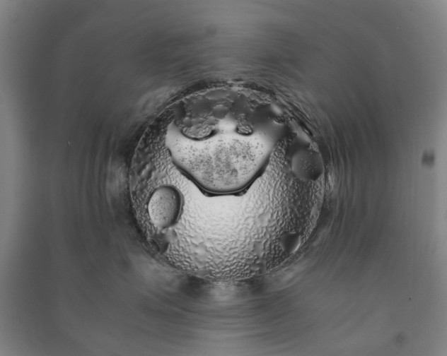 X0000091240623200708161737