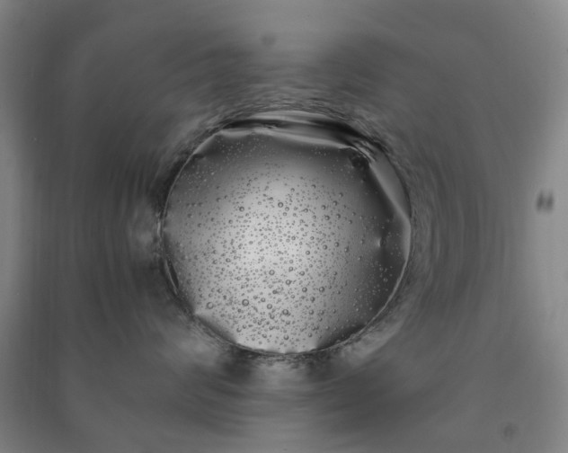 X0000091240624200708161737