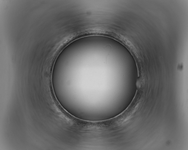 X0000091240625200708161736
