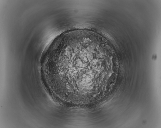 X0000091240626200708161736